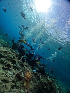 武藤潜水に投稿された画像（2024/8/8）