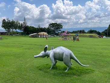 大地の芸術祭 実行委員会に投稿された画像（2024/8/8）