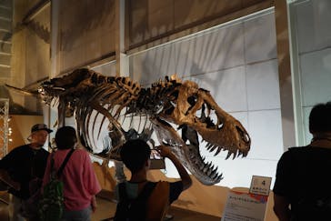 巨大恐竜展2024に投稿された画像（2024/8/8）