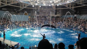 マクセル アクアパーク品川に投稿された画像（2024/8/8）