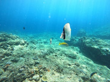 武藤潜水に投稿された画像（2024/8/8）