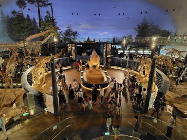 福井県立恐竜博物館に投稿された画像（2024/8/8）
