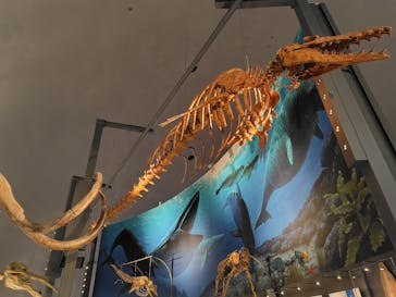 福井県立恐竜博物館に投稿された画像（2024/8/8）