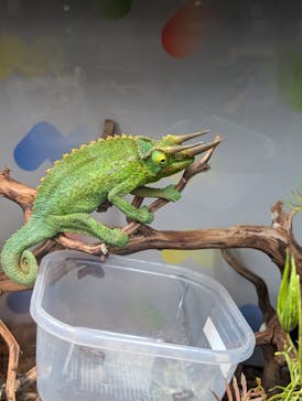 NARA IKIMONO MUSEUMに投稿された画像（2024/8/8）