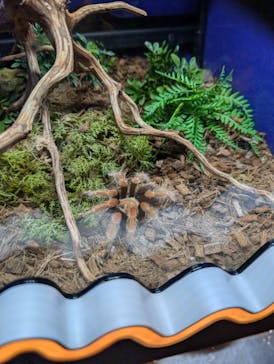 NARA IKIMONO MUSEUMに投稿された画像（2024/8/8）