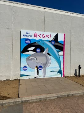 鴨川シーワールドに投稿された画像（2024/8/8）