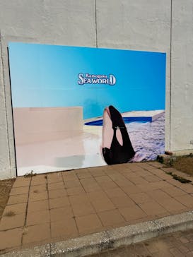 鴨川シーワールドに投稿された画像（2024/8/8）