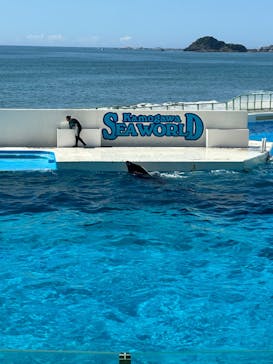 鴨川シーワールドに投稿された画像（2024/8/8）