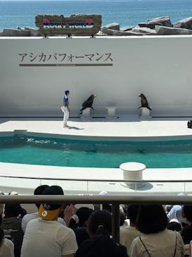 鴨川シーワールドに投稿された画像（2024/8/8）