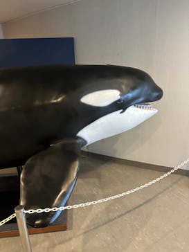 鴨川シーワールドに投稿された画像（2024/8/8）