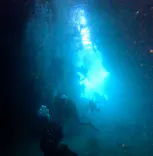 武藤潜水に投稿された画像（2024/8/8）