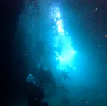 武藤潜水に投稿された画像（2024/8/8）