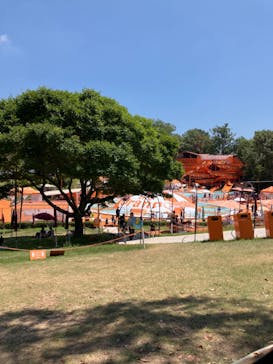 みろくの里に投稿された画像（2024/8/8）