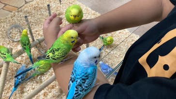 いきもの探検隊上尾に投稿された画像（2024/8/8）