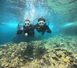 沖縄マリンサービス碧に投稿された画像（2024/8/8）