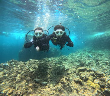 沖縄マリンサービス碧に投稿された画像（2024/8/8）