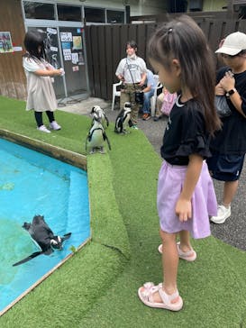 おさるランド＆アニタウン　日光さる軍団劇場に投稿された画像（2024/8/8）