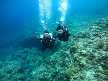 武藤潜水に投稿された画像（2024/8/8）