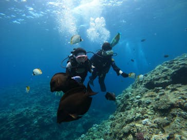 武藤潜水に投稿された画像（2024/8/8）
