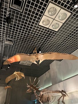 国立科学博物館に投稿された画像（2024/8/8）