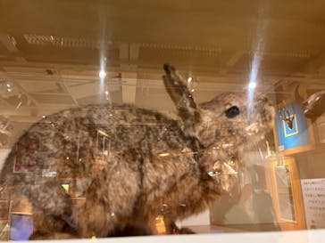 国立科学博物館に投稿された画像（2024/8/8）