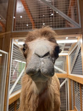 国立科学博物館に投稿された画像（2024/8/8）