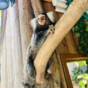 神戸どうぶつ王国に投稿された画像（2024/8/8）