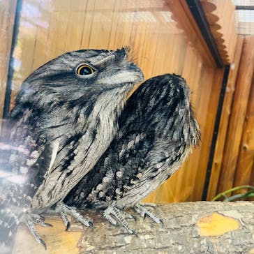 神戸どうぶつ王国に投稿された画像（2024/8/8）