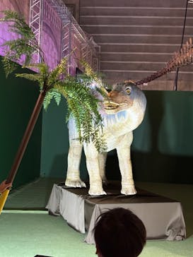 巨大恐竜展2024に投稿された画像（2024/8/8）