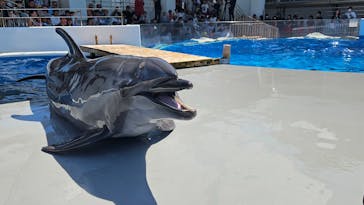 九十九島水族館海きららに投稿された画像（2024/8/8）