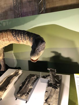 巨大恐竜展2024に投稿された画像（2024/8/8）