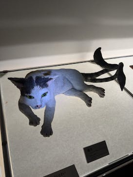 妖怪美術館に投稿された画像（2024/8/8）