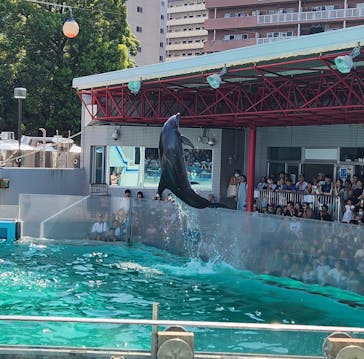 しながわ水族館に投稿された画像（2024/8/8）