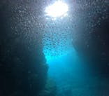 沖縄マリンサービス碧に投稿された画像（2024/8/8）