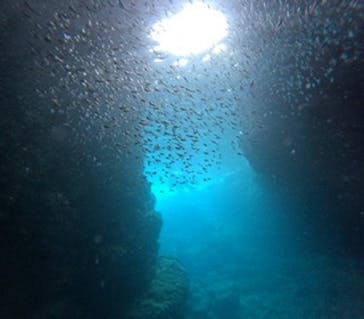 沖縄マリンサービス碧に投稿された画像（2024/8/8）