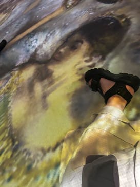 モネ＆フレンズ・アライブに投稿された画像（2024/8/8）