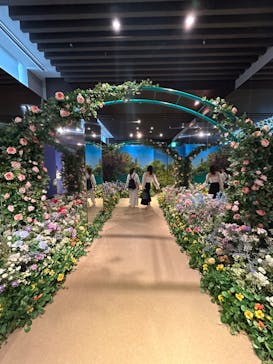 モネ＆フレンズ・アライブに投稿された画像（2024/8/8）