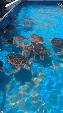 南知多ビーチランド＆南知多おもちゃ王国に投稿された画像（2024/8/8）