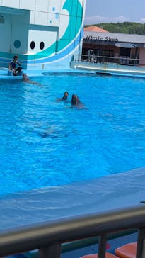 南知多ビーチランド＆南知多おもちゃ王国に投稿された画像（2024/8/8）