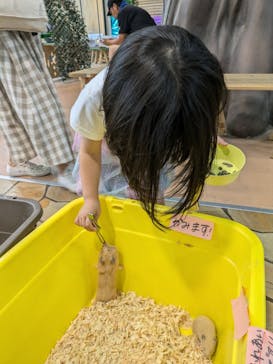 いきもの探検隊上尾に投稿された画像（2024/8/8）