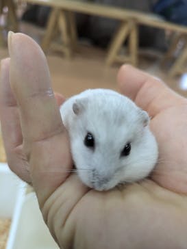 いきもの探検隊上尾に投稿された画像（2024/8/8）