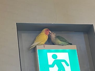 Moff animal cafe イオンモール幕張新都心店に投稿された画像（2024/8/8）