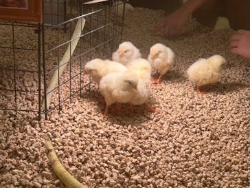 Moff animal cafe イオンモール幕張新都心店に投稿された画像（2024/8/8）