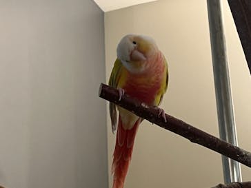 Moff animal cafe イオンモール幕張新都心店に投稿された画像（2024/8/8）