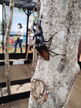 JOYPOLIS 特別イベントスペースに投稿された画像（2024/8/8）