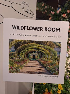 モネ＆フレンズ・アライブに投稿された画像（2024/8/8）