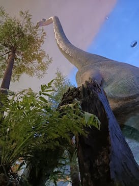 福井県立恐竜博物館に投稿された画像（2024/8/8）