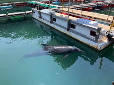 下田海中水族館に投稿された画像（2024/8/8）
