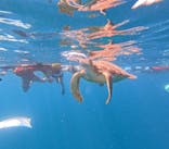  マリンショップHAPPYに投稿された画像（2024/8/8）