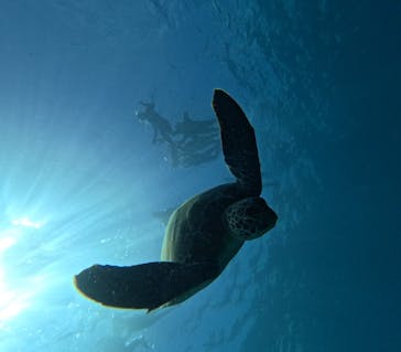  マリンショップHAPPYに投稿された画像（2024/8/8）